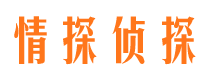 龙凤情探私家侦探公司